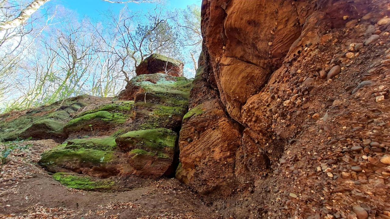 Eifelhof Mit Obstbaumwiese Нидегген Экстерьер фото